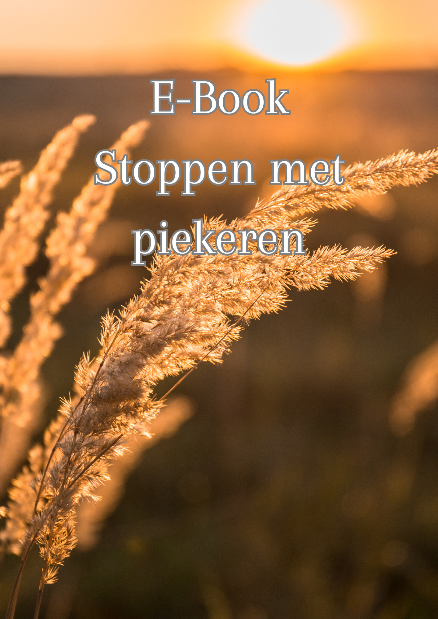 Stoppen met Piekeren