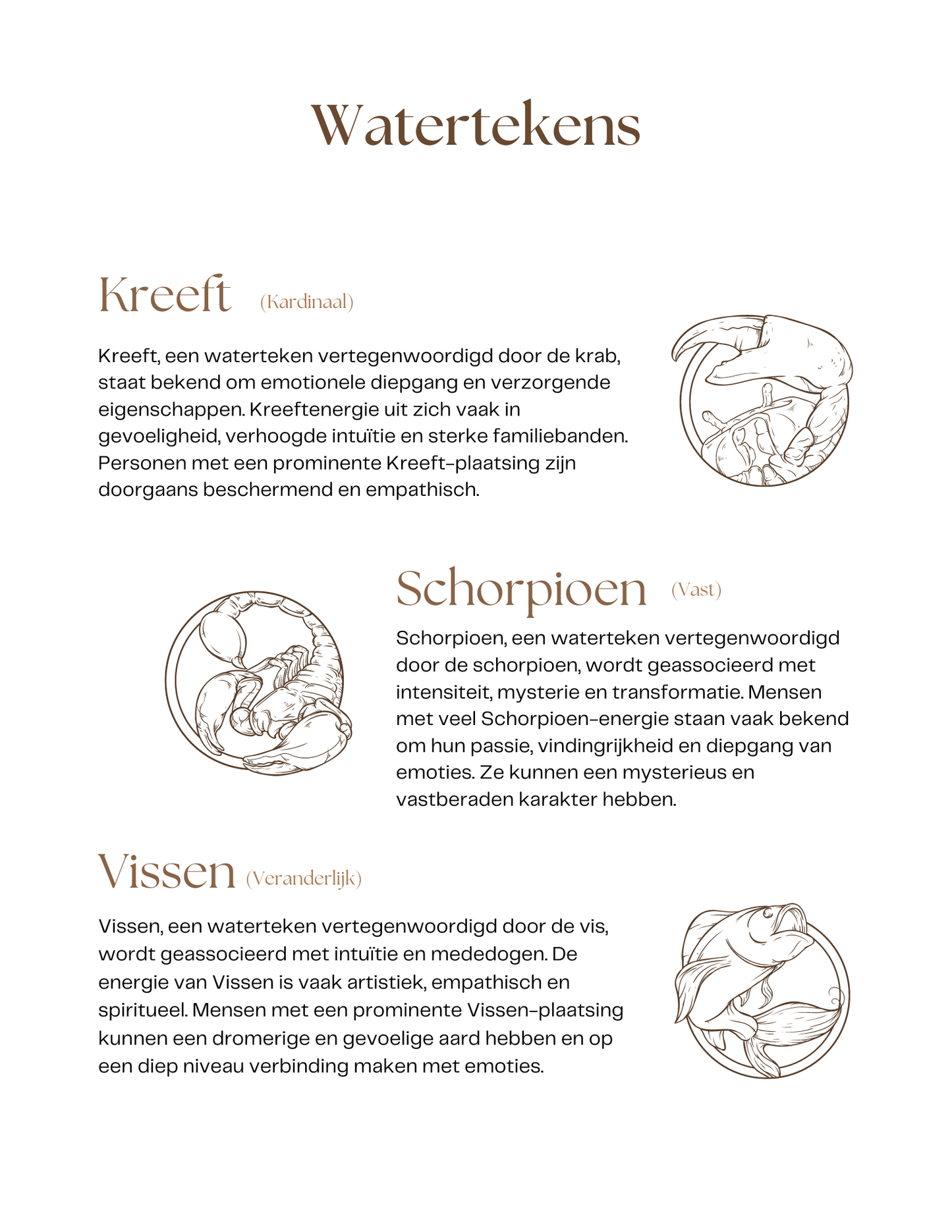 Fundamenten van Astrologie